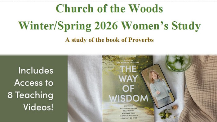 Women's Bible Study image